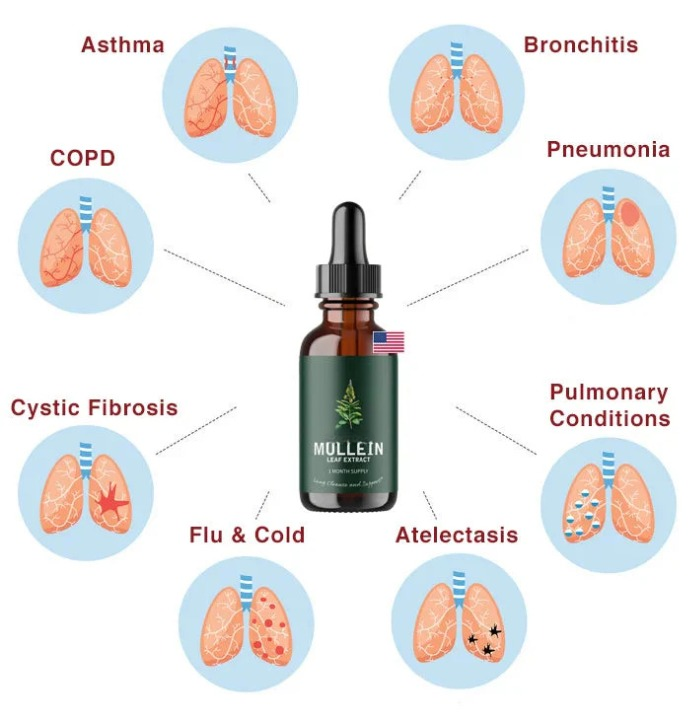 ChicAddOns Mullein™ + Chlorophyll