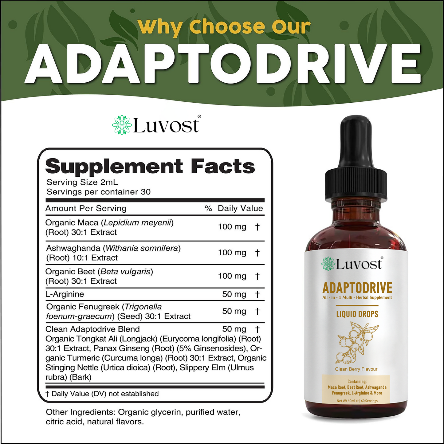 Luvost AdaptoDrive