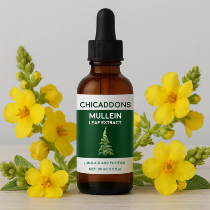 ChicAddOns Mullein + Chlorophyll