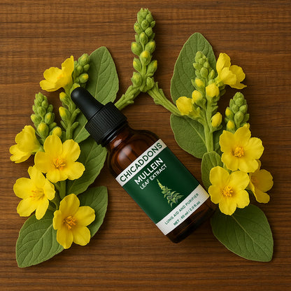 ChicAddOns Mullein + Chlorophyll